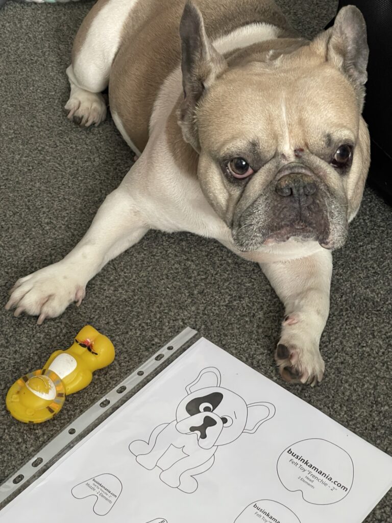 French bulldog next to felt plushie pattern pieces on table during crafting process of handmade felt dog toy
