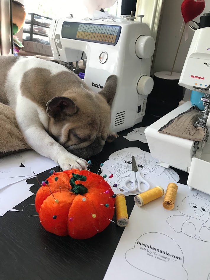 French bulldog sleeping beside sewing machines, felt patterns, threads and pin cushion during plush doll project work